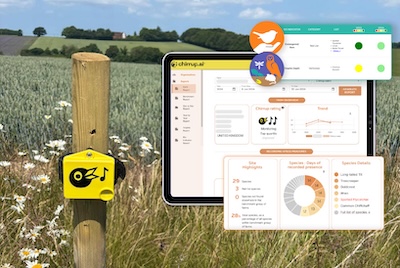 Birdsong, Biodiversity, and the Future of Smart Sustainability